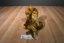 Russ Zonies Earth Zones Triggor Triceratops Floppy Beanbag Plush