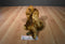 Russ Zonies Earth Zones Triggor Triceratops Floppy Beanbag Plush