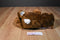 Build a Bear Brown, Pink and White Bunny Rabbit 2010 Plush