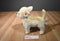 Soft Time Toy Beige Chihuahua Plush