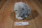 Sugar Loaf Gray and White Bunny Rabbit 1988 Plush