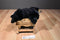 Russ Yomiko Mini Black Bear Cub Beanbag Plush