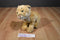 Ganz Webkinz Signature Endangered Cougar WKSE3009 Beanbag Plush (No Code)