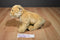 Ganz Webkinz Signature Endangered Cougar WKSE3009 Beanbag Plush (No Code)