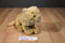 Ganz Webkinz Signature Endangered Cougar WKSE3009 Beanbag Plush (No Code)