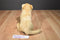 Ganz Webkinz Signature Endangered Cougar WKSE3009 Beanbag Plush (No Code)
