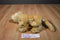Ganz Webkinz Signature Endangered Cougar WKSE3009 Beanbag Plush (No Code)