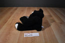 Gund Newsy the Black Teddy Bear with White Nose Plush