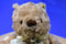Disney Baby Brown Pooh Plush with Bow