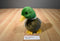 Mallard Drake Duck Beanbag Plush
