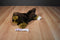 Kids Prefered Brown Tan and White Dog 2005 Beanbag Plush