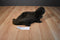 Folkmanis River Otter Puppet Hand Plush