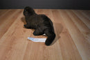 Folkmanis River Otter Puppet Hand Plush