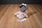 Disneyland baby Minnie Rattle Beanbag Plush Toy
