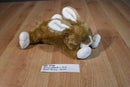 Animal Adventure Bunny Rabbit 2010 Beanbag Plush with a Yellow Bow