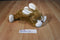 Animal Adventure Bunny Rabbit 2010 Beanbag Plush with a Yellow Bow