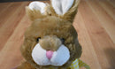 Animal Adventure Bunny Rabbit 2010 Beanbag Plush with a Yellow Bow