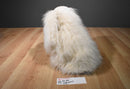 24K Polar Puff IKC Buff Cocker Spaniel Plush