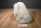 24K Polar Puff IKC Buff Cocker Spaniel Plush