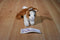 Aurora Mini Brown and White Dutch Bunny 2015 Beanbag Plush