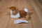 Aurora Mini Brown and White Dutch Bunny 2015 Beanbag Plush