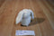 Russ Plus White Bunny Rabbit Beanbag Plush