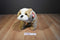 Ty Classic Winston Old English Bulldog 1990 Beanbag Plush