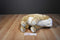 Ty Classic Winston Old English Bulldog 1990 Beanbag Plush