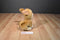 Russ Mattel Barbie Chihuahua Lacey 2010 Plush