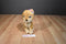Russ Mattel Barbie Chihuahua Lacey 2010 Plush