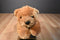 Aurora Honey Tan Colored Bear Plush