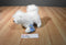 Ganz Webkinz White Samoyed Dog Beanbag Plush HM176 Sealed Code