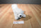 Ganz Webkinz White Samoyed Dog Beanbag Plush HM176 Sealed Code