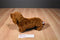 Douglas Gretel Red Dachshund Dog Beanbag Plush