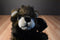 Wild Republic Cuddlekins Babies Wolf Cub 2007 Plush with Blue Eyes