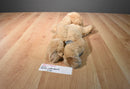 Russ Doozer Tan Cocker Spaniel Dog Beanbag Plush