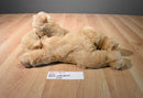 Russ Doozer Tan Cocker Spaniel Dog Beanbag Plush