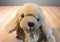 Russ Doozer Tan Cocker Spaniel Dog Beanbag Plush