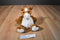 Animal Alley Sitting Pot Bellied Horse Pony Beanbag Plush