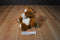 Animal Alley Sitting Pot Bellied Horse Pony Beanbag Plush