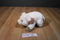 Dakin Lou Rankin Little Friends Wilfred Pink Pig Beanbag Plush