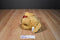 Kohl's Sandra Boynton Train Conductor Engineer Dog Beanbag Plush