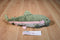 Wildlife Artists Bass Pro Shops Rainbow Trout 2015 Beanbag Plush