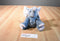 Ty Pluffies Winks Grey and Pink Elephant 2013 Beanbag Plush