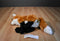Wild Republic Red Fox 2015 Beanbag Plush