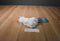 Douglas White Kittycorn With Rainbow Tail Plush