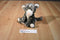 Fiesta Clouded Leopard Cub Beanbag Plush with Yellow Eyes