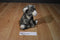 Fiesta Clouded Leopard Cub Beanbag Plush with Yellow Eyes