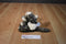 Fiesta Clouded Leopard Cub Beanbag Plush with Yellow Eyes