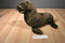 FAO Schwarz Brown Sea Lion 2012 Plush